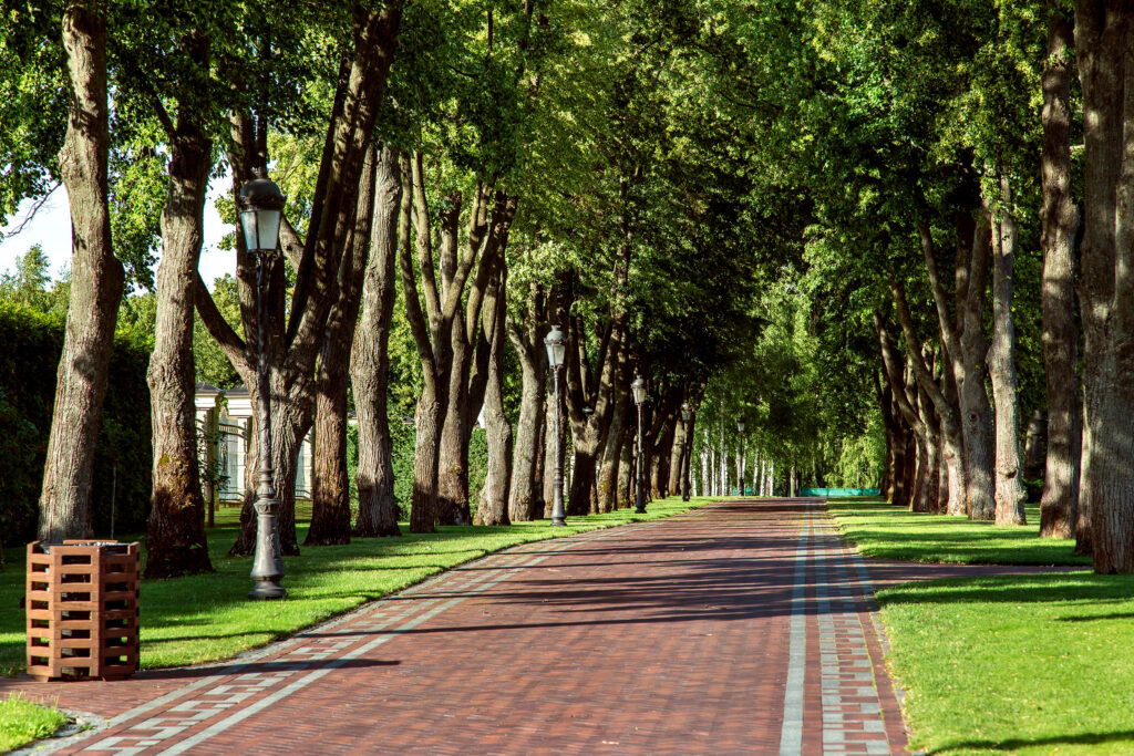 Special features of geosynthetics use in park beautification